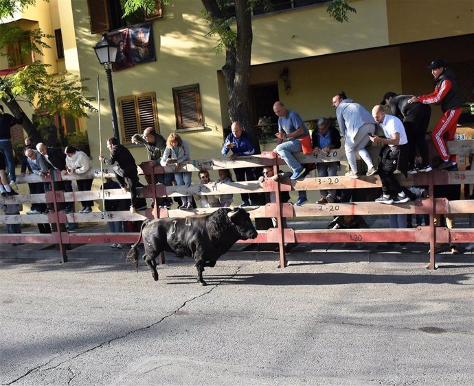 Herido grave un hombre al ser corneado varias veces en el pierna en el último encierro en Villaviciosa