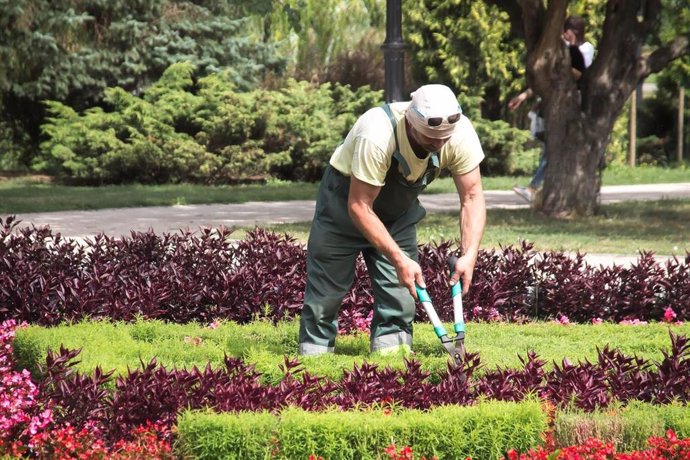 Trabajador de jardinería.