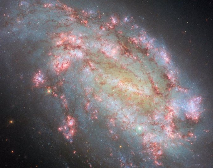 Esta imagen del telescopio espacial Hubble de la NASA/ESA muestra la galaxia NGC 1559.