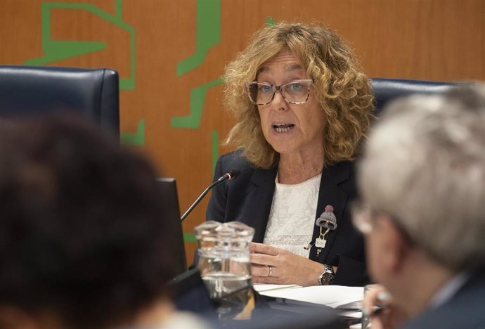 La consejera de Movilidad Sostenible, Susana García, en el Parlamento Vasco