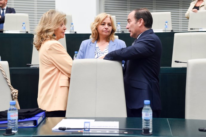 La vicealcaldesa de Madrid, Inmaculada Sanz (c) y el segundo teniente de Alcalde de Madrid, Borja Carabante (d), durante un pleno del Ayuntamiento de Madrid, en el Palacio de Cibeles, a 24 de septiembre de 2024, en Madrid (España).