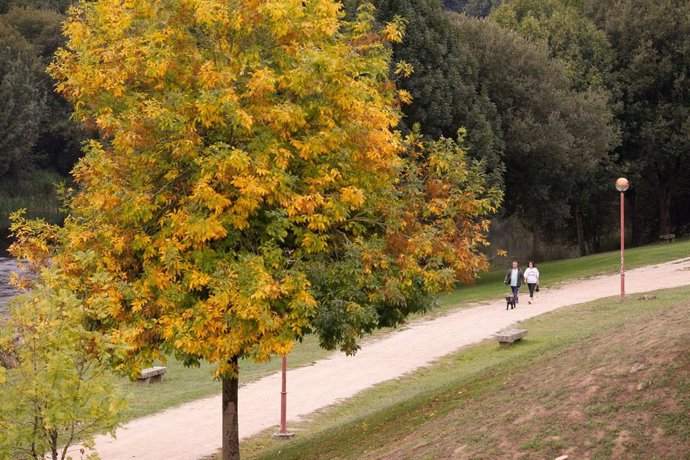 Dos personas caminan por un parque