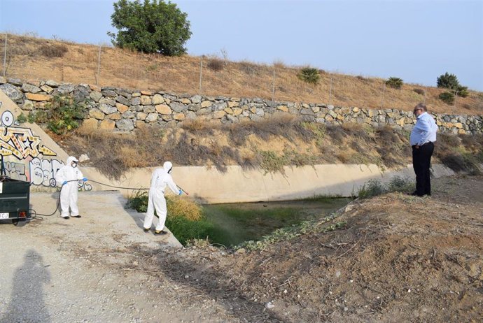 Las acciones abarcan tanto el tratamiento medioambiental en sí contra los mosquitos como labores de limpieza y desbroce para garantizar unas correctas condiciones higiénico-sanitarias de las acequias y otros posibles focos de plagas.