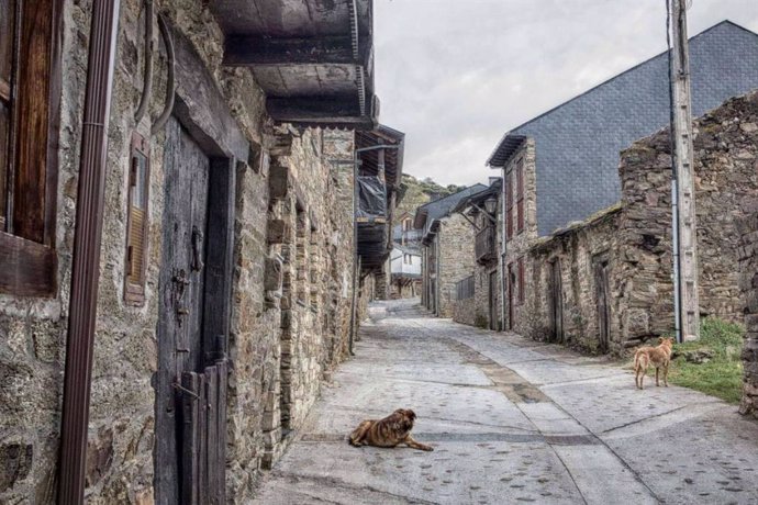 La Senda de las Cantinas, proyecto del Consejo Comarcal del Bierzo para impulsar el emprendimiento rural