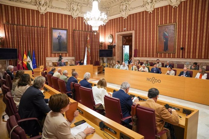 El Pleno del Consejo Económico y Social de Sevilla elige a Luis Palma como nuevo presidente.