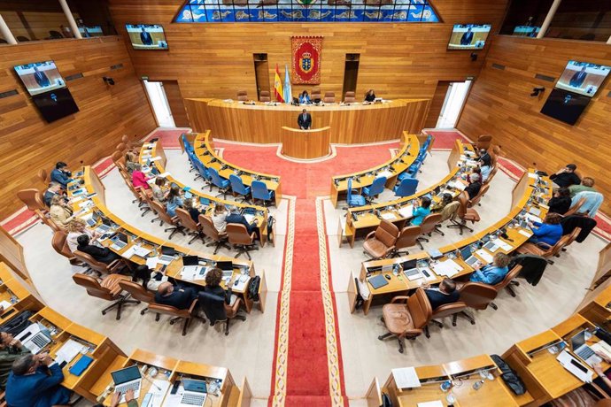 El conselleiro de Cultura, Lingua e Xuventude, José López Campos, en el Parlamento de Galicia.