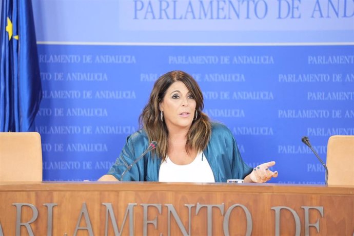 La portavoz del Grupo Socialista en el Parlamento andaluz, Ángeles Férriz, en rueda de prensa.