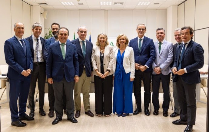 Reunión de trabajo de la consejera de Salud y Consumo, Rocío Hernández, con los representantes del Consejo Andaluz de Colegios de Farmacéuticos en la sede de la Consejería en Sevilla.