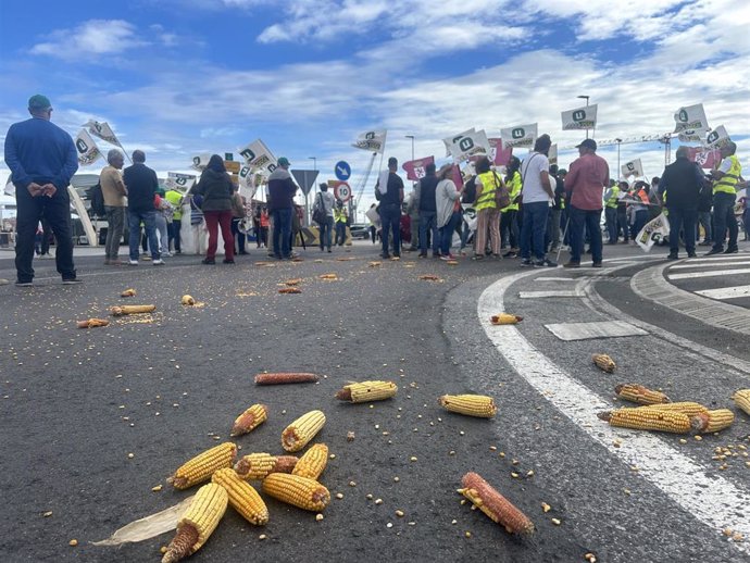 Maíz tirado al suelo en la concentración de Unión de Uniones en la rotonda de acceso al Puerto de Santander.