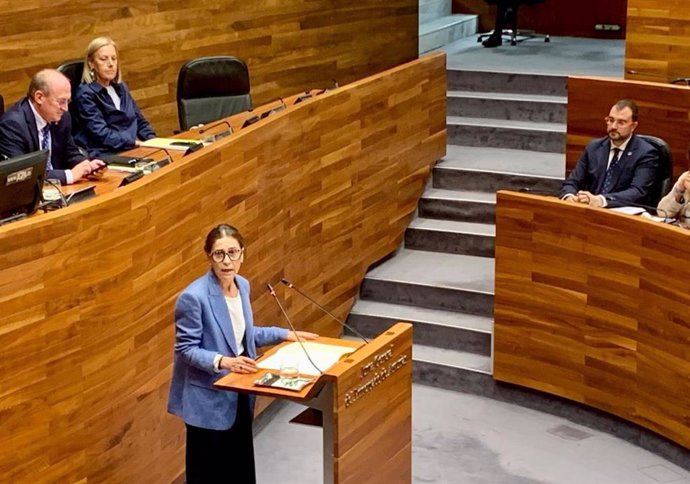 La portavoz del Grupo Parlamentario Socialista, Dolores Carcedo.