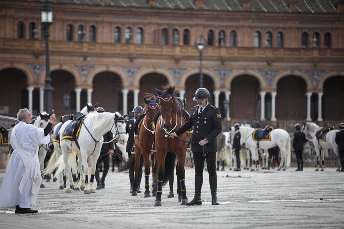 Archivo - Ejemplares de la Unidad de Caballería de la Policía Nacional en la plaza de España