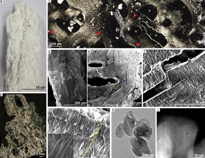 Ejemplos de las nanoestructuras identificadas como canales de ventilación en el entorno de respiraderos hidrotermales del fondo océanico