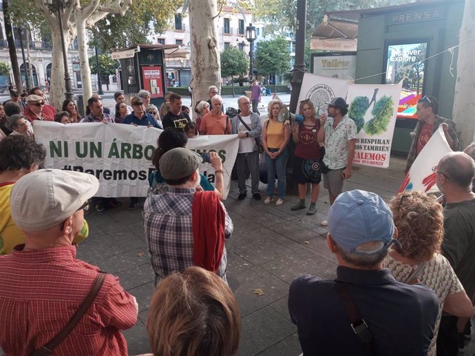 Concentración de los activistas medioambientales ante el Ayuntamiento de Sevilla