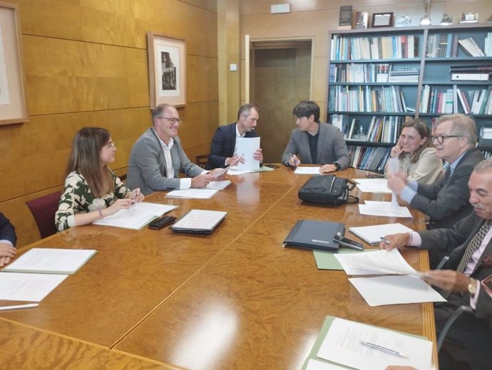 El consejero de Ciencia, Empresas, Formación y Empleo, Borja Sánchez, preside la reunión de la comisión de seguimiento para la puesta en marcha de la Oficina de Economía y Comercio de Asturias en Madrid.