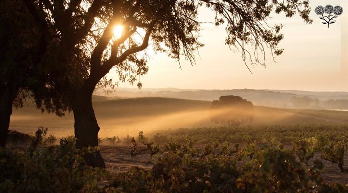 Bodegas La Horra