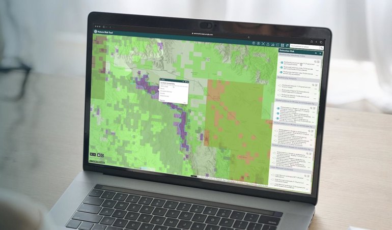 Comunicados Internacional