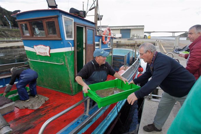 Archivo - Pescadores descargan su barco en el puerto de Ribadeo, a 21 de diciembre de 2022, en Ribadeo, Lugo, Galicia (España).  Este año ha pasado por las rulas gallegas la menor cantidad de pescado y marisco en casi dos décadas. Esto indica que las capt