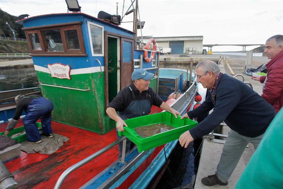 Archivo - Pescadores descargan su barco en el puerto de Ribadeo, a 21 de diciembre de 2022, en Ribadeo, Lugo, Galicia (España).  Este año ha pasado por las rulas gallegas la menor cantidad de pescado y marisco en casi dos décadas. Esto indica que las ca