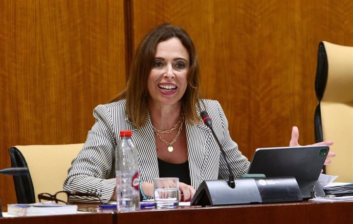 La consejera de Fomento, Articulación del Territorio y Vivienda, Rocío Díaz, en comisión parlamentaria.