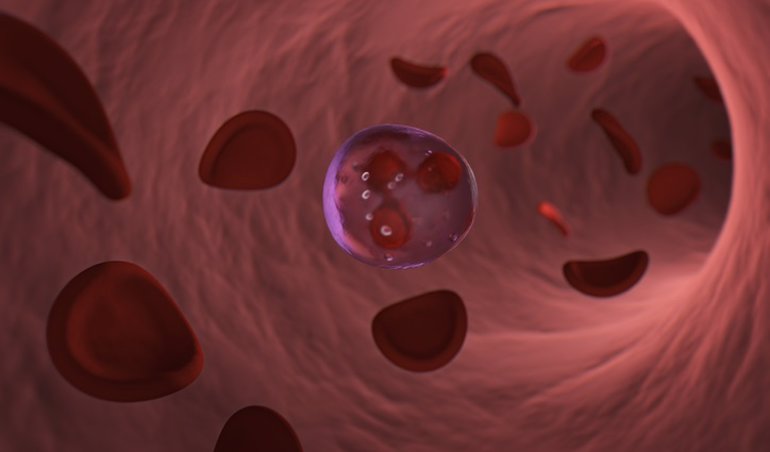 Investigación