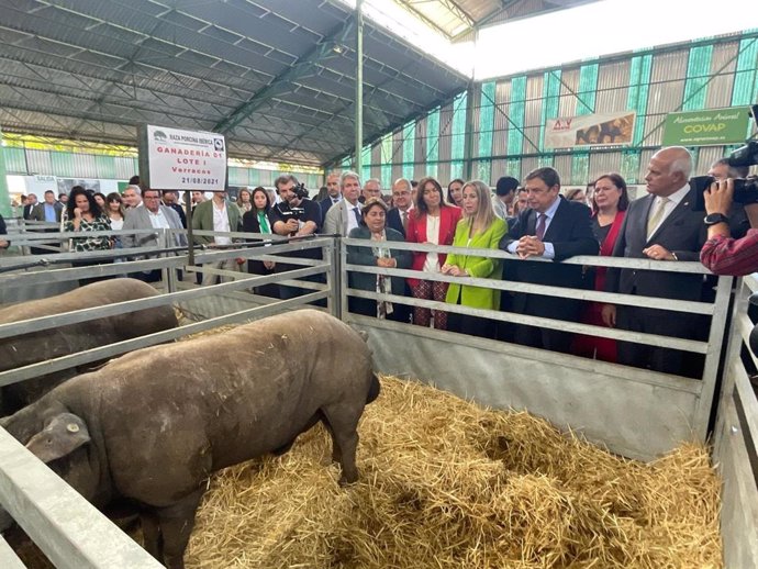 El ministro de Agricultura y la presidenta de la Junta visitan la Feria de Zafra