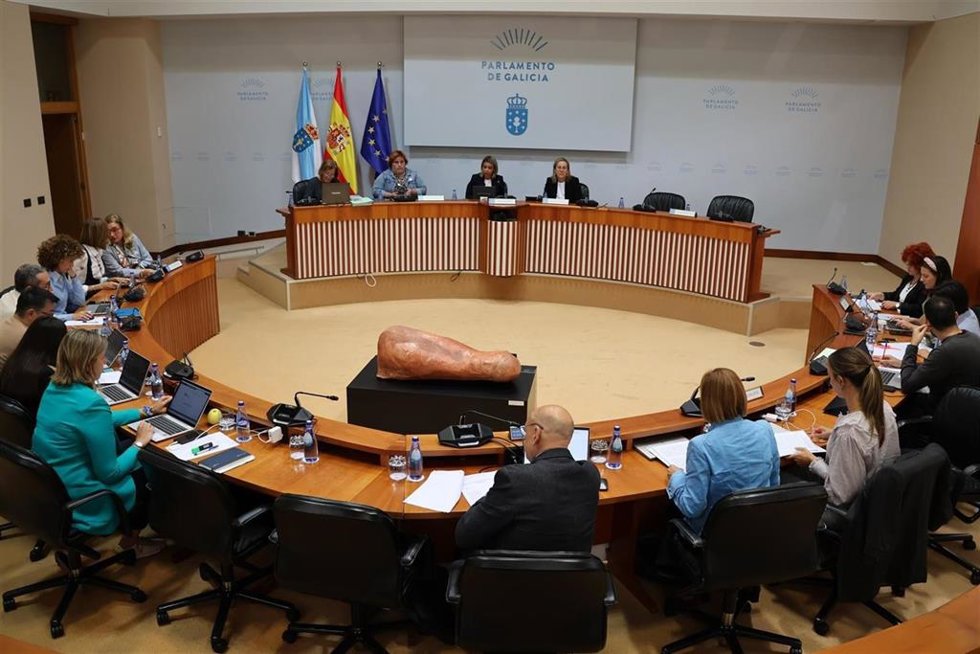 Comisión 5, de Sanidade, Política Social e Emprego del Parlamento gallego.