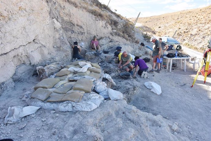 Trabajos en el yacimiento paleontológico Baza 1