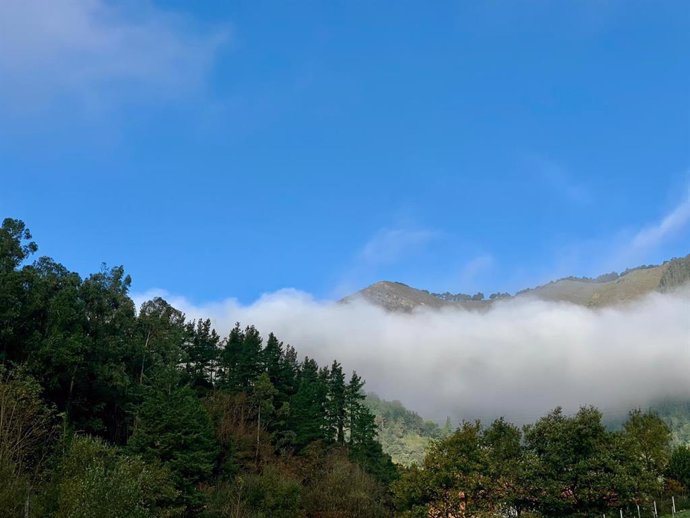 Archivo - Imagen de Euskadi