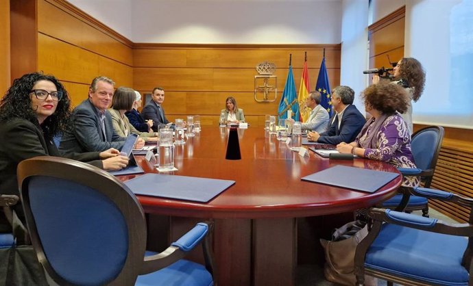 Reunión del Consejo de Gobierno presidida por la vicepresidenta del Principado, Gimena Llamedo