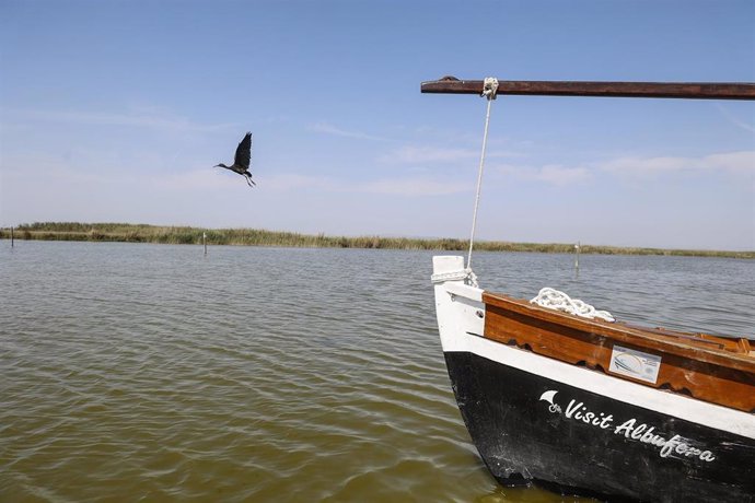 Archivo -  Parque Natural de l'Albufera