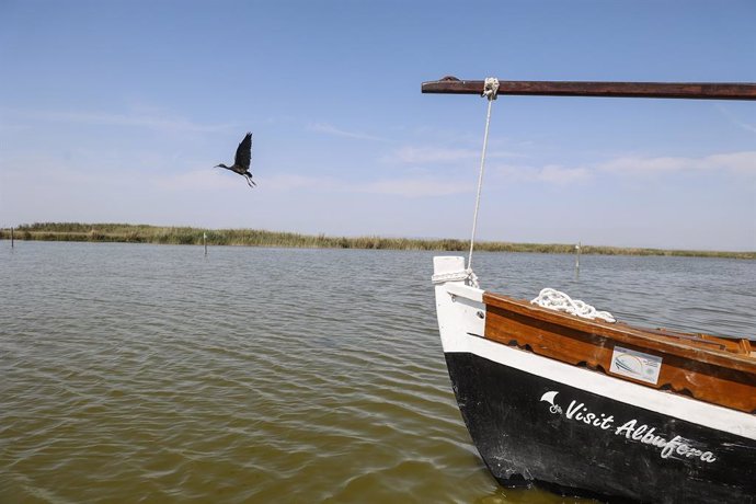 Archivo - Parc Natural de l'Albufera