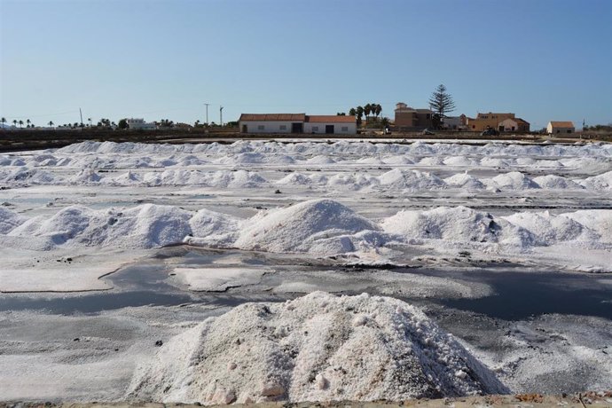 Primera cosecha de sal en las salinas de Marchamalo