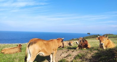 Asturias Rural