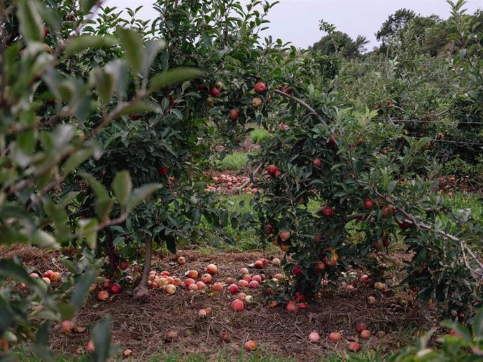 WWF pide que la Ley de Desperdicio Alimentario mida todas las pérdidas de alimentos y priorice la prevención.