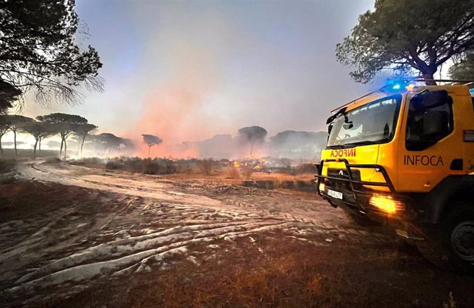 Efectivos del Plan Infoca continúan trabajando para controlar el incendio declarado en el paraje Los Llanos de Moguer.