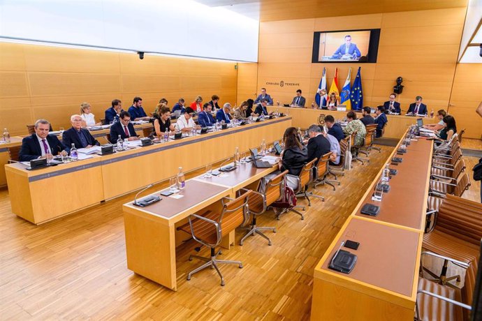 Pleno del Cabildo de Tenerife