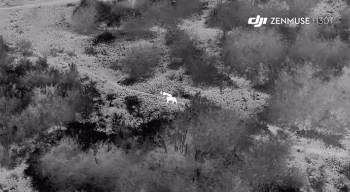 Archivo - Latam.-Portaltic.-Así es como la fotografía aérea de los drones ayuda a monitorizar y proteger el león africano en Uganda