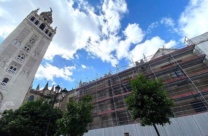 Obras en la fachada de la Catedral de Sevilla a la calle Cardenal Amigo Vallejo.