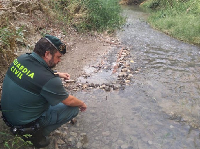 Un agente de la Guardia Civil en el río Genil, en la provincia de Granada.