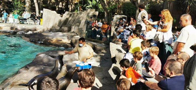 El zoològic de Barcelona tanca l'estiu amb 207.000 visitants, un 13% més que el 2023