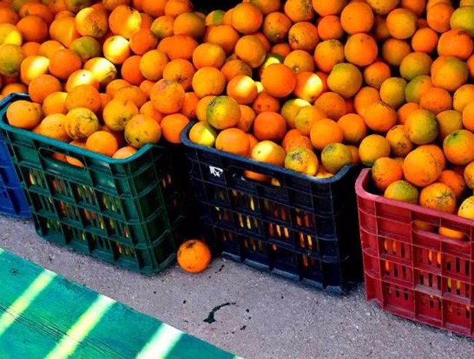 Fruta en mal estado en imagen de archivo