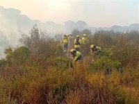 Controlado el incendio forestal declarado este viernes en el paraje Los Llanos de Moguer (Huelva)