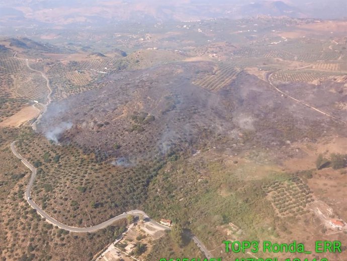 Incendio en Alcaucín, ya estabilizado.