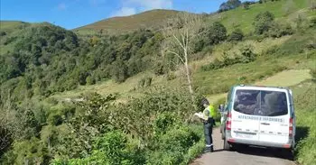 Fallece un anciano tras salirse de la vía el coche que conducía en Belmonte de Miranda