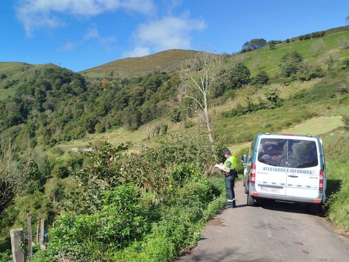 Lugar del accidente en el que murió un anciano en Belmonte de Miranda.