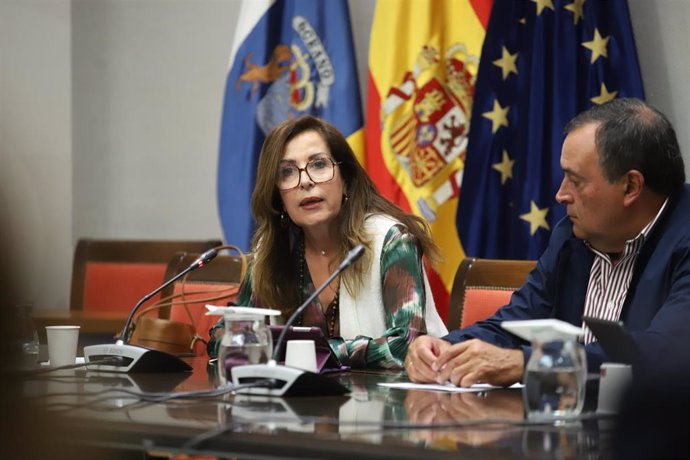 Archivo - La Diputada del Común de Canarias, Lola Padrón, comparece en comisión parlamentaria