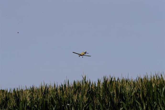 Archivo - July 26, 2024, Heyworth, Illinois, USA: A single engine fixed winged aircraft (airplane) crop dusts a field in southern McLean County IL to rid the corn crop of pesky insects.