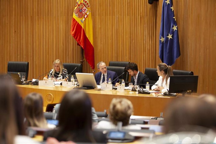 Asistents al I Foro de la Dependencia de los Mayores celebrado en el Congreso de los Diputados.