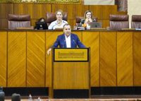 PSOE-A reclamará esta semana a la Junta en el Parlamento medidas para mejorar la gestión de la dependencia en Andalucía