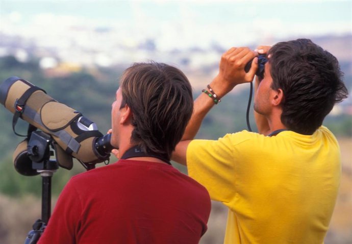 Observadores de aves en la naturaleza.